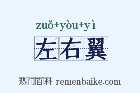 左右翼是什么意思的图片